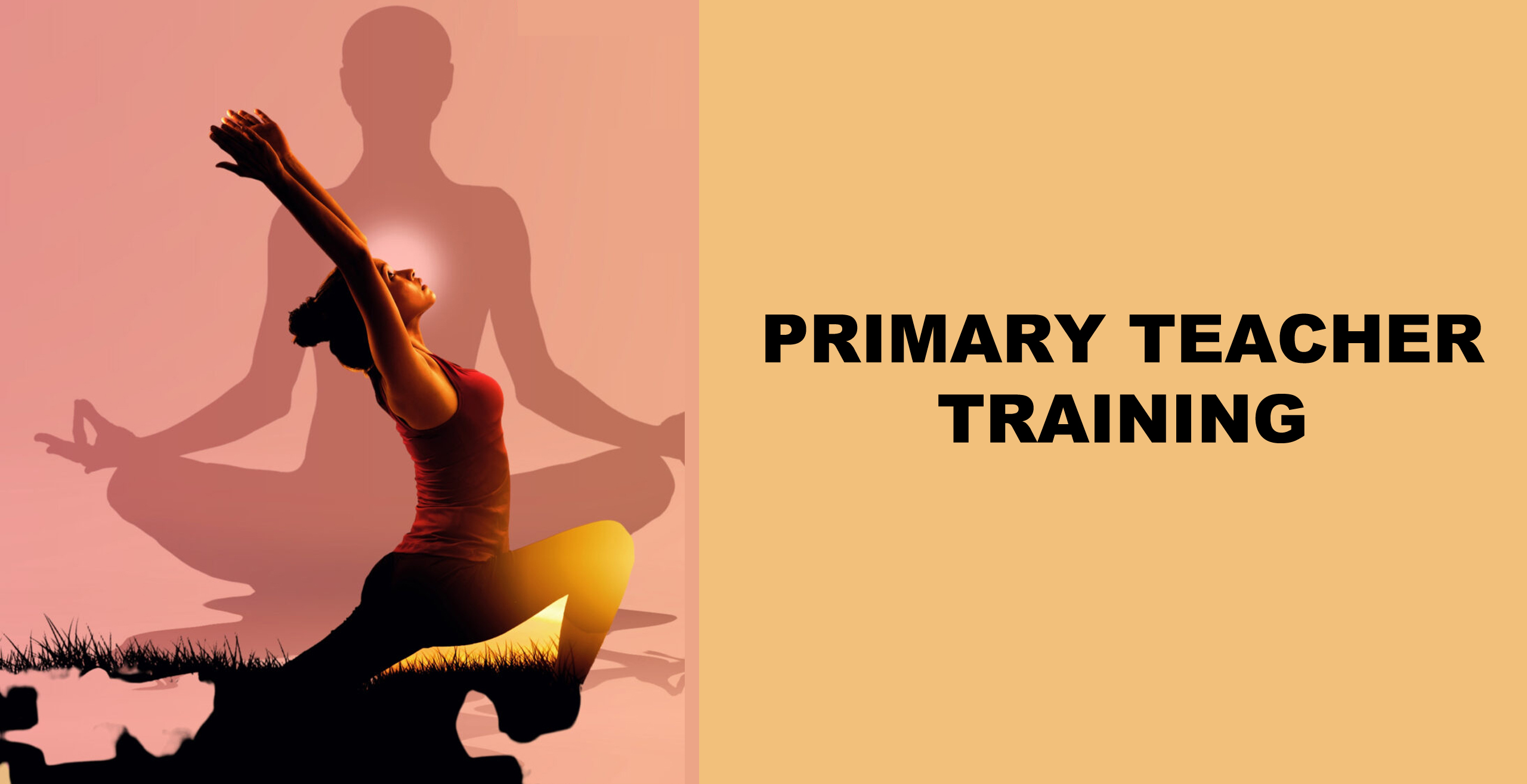 PRIMARY TEACHER TRAINING